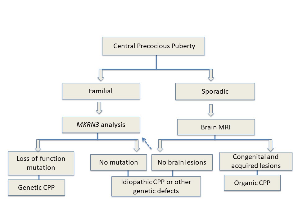 Precocious Puberty Rcog Guidelines